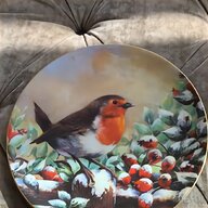 winter robins for sale