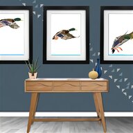 flying mallard ducks for sale