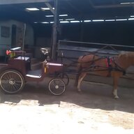 gypsy dray for sale