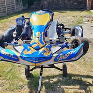 rotax 256 for sale