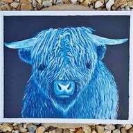 highland cow painting for sale
