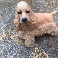 chinese lion dog for sale