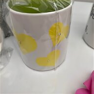kermit mug for sale