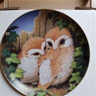 barn owl box for sale