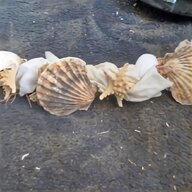 christine haworth leonardo seashells sandcastles for sale
