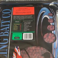 bloodworm for sale