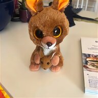 kangaroo for sale