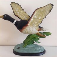 flying mallard ducks for sale