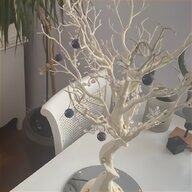 manzanita tree for sale