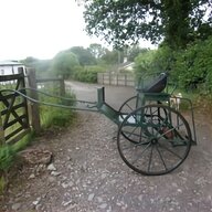 single horse carriage for sale