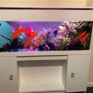 white fish tank stand for sale