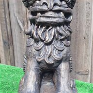 chinese lion dog for sale