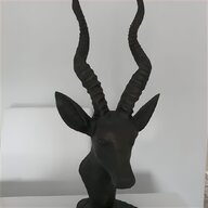 antelope head for sale