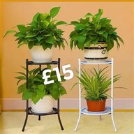 metal plant pot stand for sale