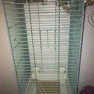 parrot stand for sale