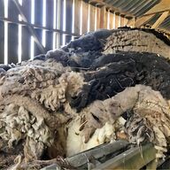 spinning sheep fleece for sale
