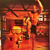 insanity workout dvd for sale
