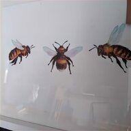bee frames for sale