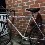 raleigh mustang for sale