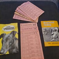 greyhound racing for sale