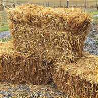 oat straw for sale