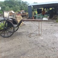 carriage driving ponies for sale