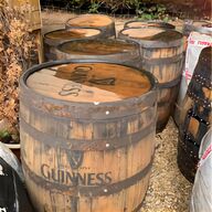 guinness surger for sale