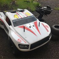 rc petrol buggy for sale