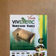 tortoise starter for sale
