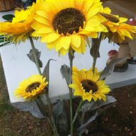 sunflower heads for sale