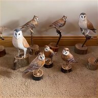 model birds for sale