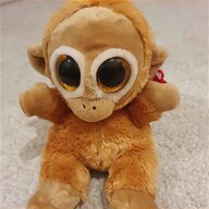 keel monkey for sale