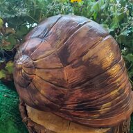 snail garden ornament for sale