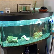 4ft glass tank for sale