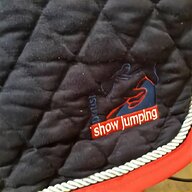 showjumping for sale