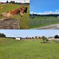 field stables for sale