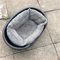 curver plastic dog bed for sale