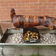 hog roast oven for sale