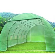 polytunnel 6m for sale