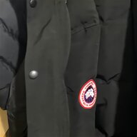 canada goose for sale