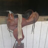 shetland saddle for sale