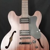 semi electric guitar for sale