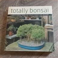 outdoor bonsai for sale