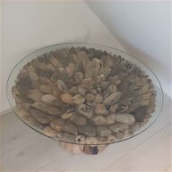 driftwood tree for sale