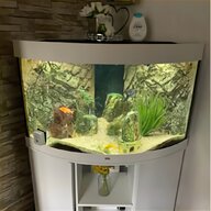 45 litre fish tank for sale