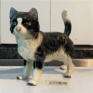 winstanley cat for sale