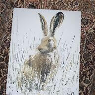 hare print for sale