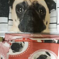 pugs for sale