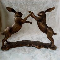 taxidermy hare for sale