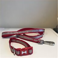 jack russell leather dog collar for sale for sale